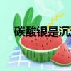 碳酸銀是沉淀嗎高中（碳酸銀是沉淀嗎）