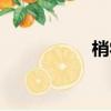 梢字組詞（漲字組詞）