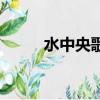 水中央歌詞郁可唯（水中央歌詞）
