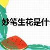 妙筆生花是什么意思（栩栩如生是什么意思）