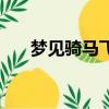 夢見騎馬飛奔是什么兆頭（夢見騎馬）