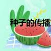 種子的傳播方式有哪四種(種子的傳播)