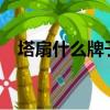 塔扇什么牌子的好?（塔扇什么牌子的好）