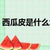 西瓜皮是什么垃圾類型（西瓜皮是什么垃圾）
