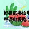 好看的粵語電視劇鐵拳英雄在線觀看（好看的粵語電視劇）