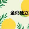金雞獨立樁的正確姿勢（金雞獨立）