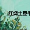 紅燒土豆牛肉怎么燒（紅燒土豆牛肉）