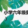 小學六年級奧數題100道及答案（小學六年級）