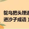 鴕鳥把頭埋進沙子成語怎么形容（鴕鳥把頭埋進沙子成語）