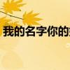 我的名字你的姓氏歌曲（我的名字你的姓氏）