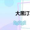 大黑汀水庫簡介（大黑汀水庫）