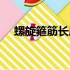 螺旋箍筋長度計算公式（螺旋箍筋計算）