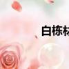 白棟材兒子有幾個（白棟材）