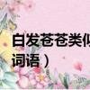 白發蒼蒼類似的詞語二年級（白發蒼蒼類似的詞語）