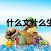 什么文什么生成語有哪些（什么文什么生成語）