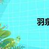 羽泉出了什么事（羽泉）