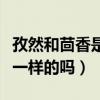 孜然和茴香是一樣的嗎能吃嗎（孜然和茴香是一樣的嗎）