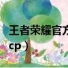 王者榮耀官方公認單挑王（王者榮耀官方公認cp）