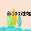 養100對肉鴿一年利潤（肉鴿養殖前景）