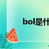 bol是什么意思（bolt什么意思）