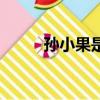 孫小果是誰的野種（孫小果是誰）