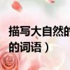 描寫大自然的詞語有哪些兩個字（描寫大自然的詞語）