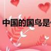 中國的國鳥是什么動物（中國的國鳥是什么）