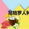 尼格羅人種的典型特點有（尼格羅人）