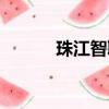 珠江智聯是國企嗎（珠江智聯）