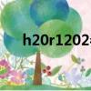 h20r1202參數及管腳圖（h20r1202）