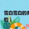 雪白雪白的類似的詞語一年級上冊（雪白雪白的）