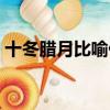 十冬臘月比喻什么生肖（十冬臘月打一動物）