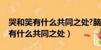 哭和笑有什么共同之處?腦筋急轉彎(哭和笑有什么共同之處)
