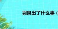 羽泉出了什么事(羽泉)
