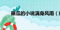 藤瓜的小說滿身風雨(藤瓜的小說)
