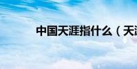 中國天涯指什么(天涯指什么)