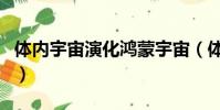 體內宇宙演化鴻蒙宇宙(體內世界的演化宇宙)