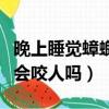 晚上睡覺蟑螂會咬人嗎為什么（晚上睡覺蟑螂會咬人嗎）