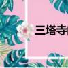 三塔寺門票免票政策（三塔寺）