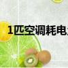 1匹空調耗電量是多少（大1匹空調耗電量）