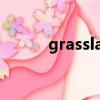 grassland是什么意思（grass）