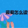 菝葜怎么讀音是什么意思（菝葜怎么讀）