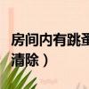 房間內有跳蚤有什么好辦法（房間有跳蚤怎么清除）