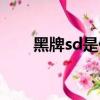黑牌sd是什么車牌（sd是什么車牌）