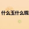 什么玉什么瑕成語大全（什么玉什么瑕成語）