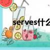 serves什么意思（servants什么意思）