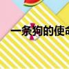 一條狗的使命1下載（一條狗的使命資源）