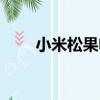小米松果電子和小米的（小米松果）