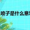 噴子是什么意思 百度一下（噴子是什么意思）