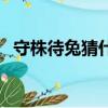 守株待兔猜什么（守株待兔死腦筋打一肖）